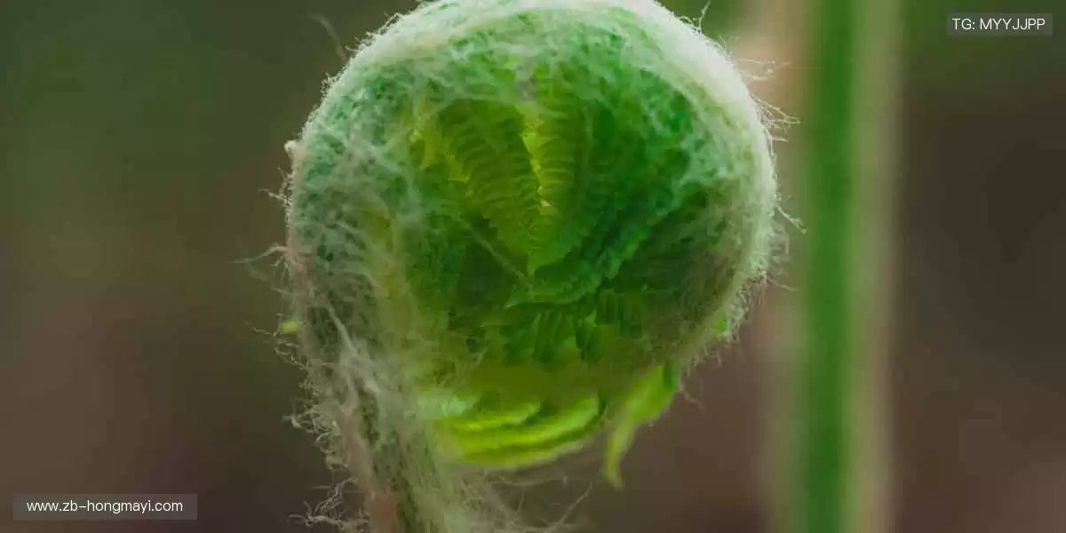 每一次挥汗如雨,都是为了更闪耀的登场!✨